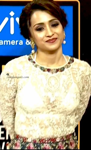 Trisha Krishnan Hot sexy transparent white dress 3 (1)